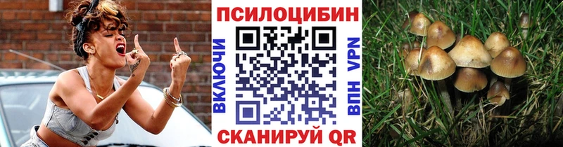 Галлюциногенные грибы Psilocybe  shop как зайти  Керчь 